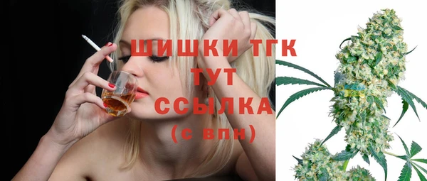прущие грибы Алексеевка