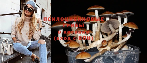 mdpv Алзамай
