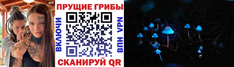 Псилоцибиновые грибы мицелий  мега ONION  Олонец 