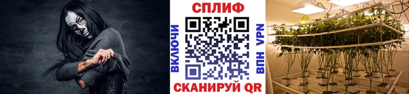 Канабис семена дарк нет состав Олонец ОМГ ОМГ tor